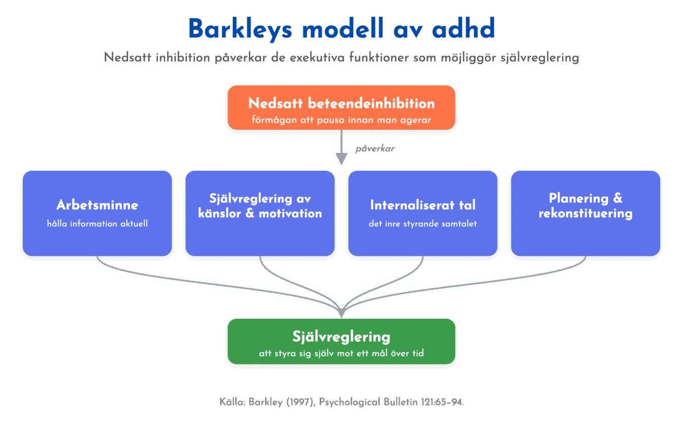 Barkleys modell: nedsatt inhibition påverkar fyra exekutiva funktioner som tillsammans möjliggör självreglering.
